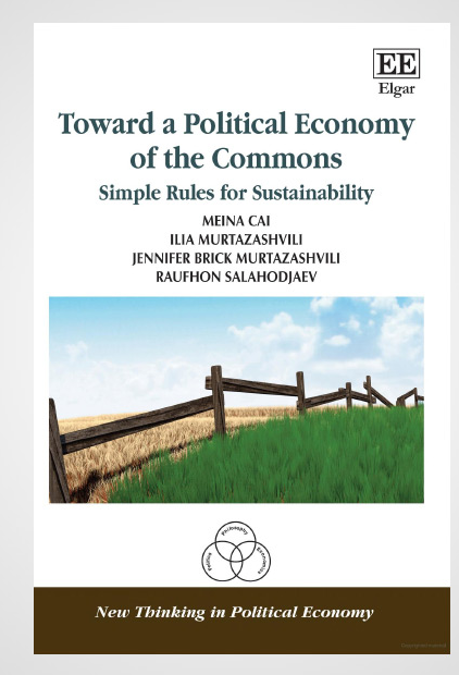 Cover of Toward a Political Economy of the Commons